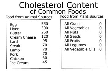 List of foods and their cholesterol content.
